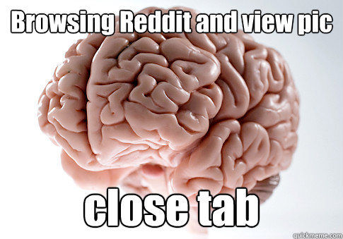 Browsing Reddit and view pic close tab  Scumbag Brain