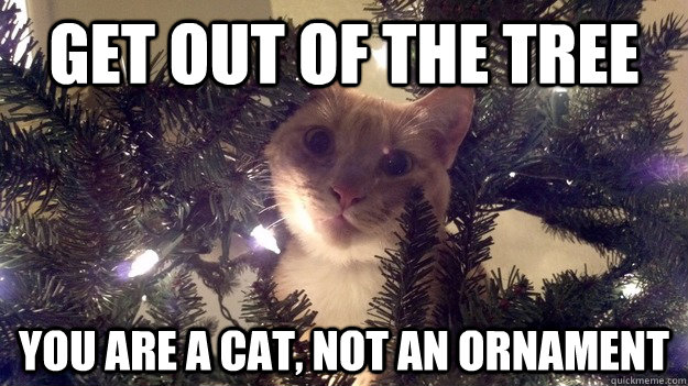 Get out of the tree you are a cat, not an ornament   Christmas Tree Cat