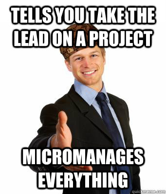 tells you take the lead on a project micromanages everything  