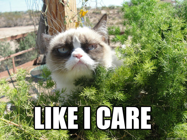  like i care  Tard cat peek-a-boo
