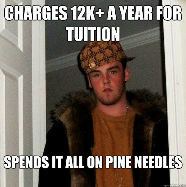 charges 12k+ a year for tuition spends it all on pine needles  Scumbag Steve