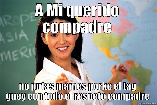 A MI QUERIDO COMPADRE NO PUTAS MAMES PORKE EL TAG GUEY CON TODO EL RESPETO COMPADRE Unhelpful High School Teacher