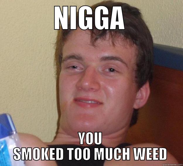 NIGGA YOU SMOKED TOO MUCH WEED 10 Guy