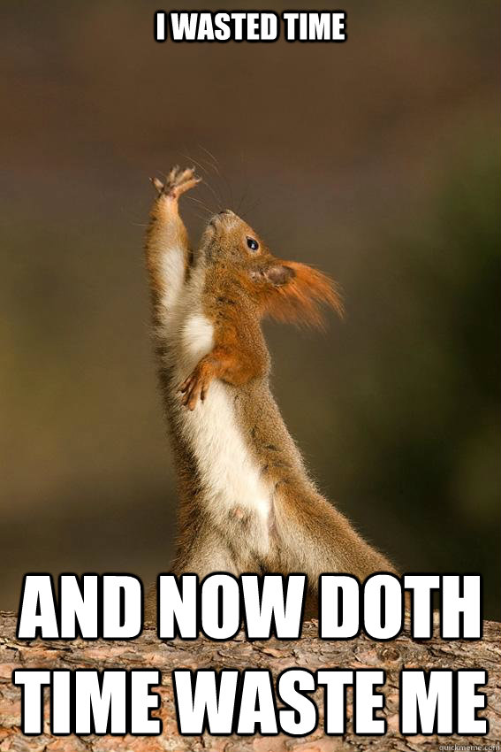 I wasted time and now doth time waste me - I wasted time and now doth time waste me  Shakespeare Squirrel