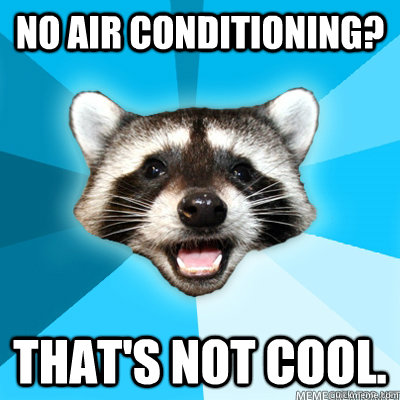 No air conditioning? That's not cool.  - No air conditioning? That's not cool.   Lame Pun Raccoon