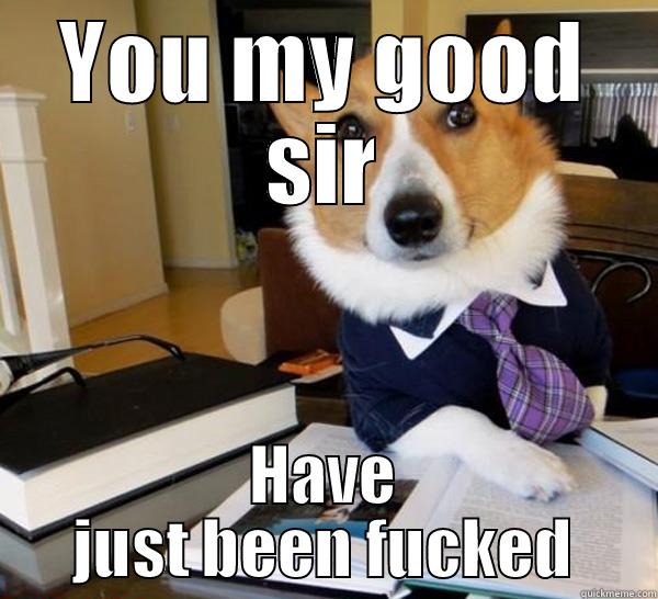 YOU MY GOOD SIR HAVE JUST BEEN FUCKED Lawyer Dog