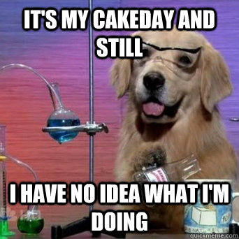IT'S MY CAKEDAY AND STILL I HAVE NO IDEA WHAT I'M DOING   I Have No Idea Scientist Dog