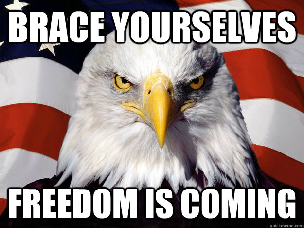 brace yourselves freedom is coming - brace yourselves freedom is coming  One-up America