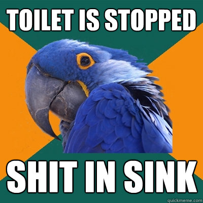 toilet is stopped shit in sink  Paranoid Parrot