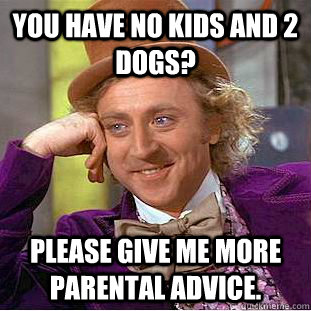 You have no kids and 2 dogs? Please give me more parental advice. - You have no kids and 2 dogs? Please give me more parental advice.  Condescending Wonka