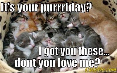 IT'S YOUR PURRRFDAY?                                   I GOT YOU THESE... DONT YOU LOVE ME? Misc