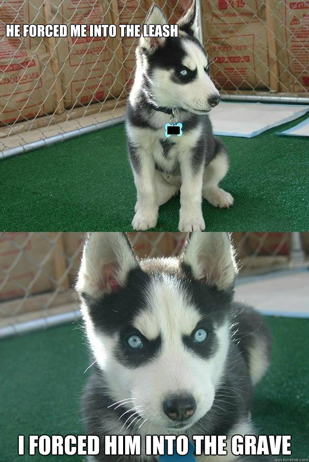 
He forced me into the leash I forced him into the grave  Insanity puppy