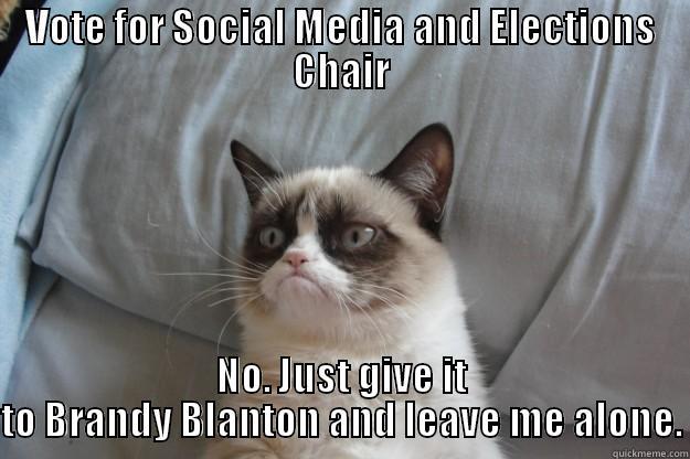 VOTE FOR SOCIAL MEDIA AND ELECTIONS CHAIR NO. JUST GIVE IT TO BRANDY BLANTON AND LEAVE ME ALONE. Grumpy Cat