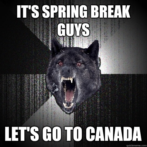 It's spring break guys Let's go to Canada  Insanity Wolf