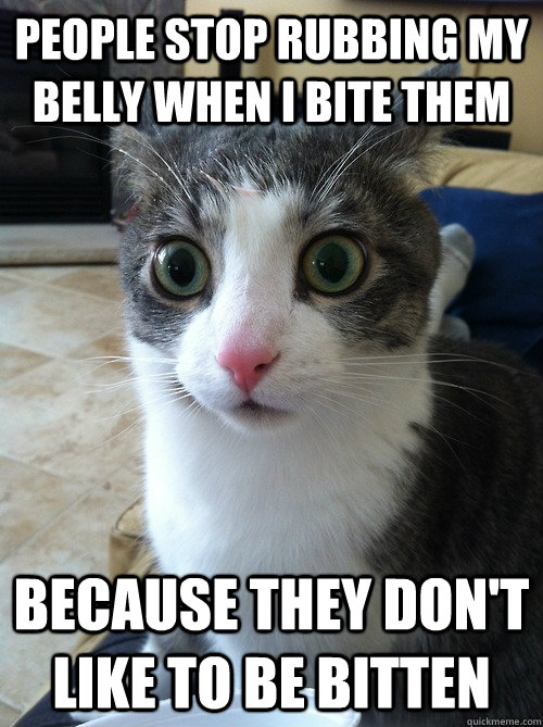 people stop rubbing my belly when I bite them because they don't like to be bitten - people stop rubbing my belly when I bite them because they don't like to be bitten  Sudden Clarity Cat