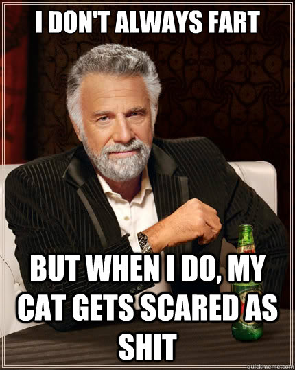 I don't always fart But when i do, my cat gets scared as shit  The Most Interesting Man In The World