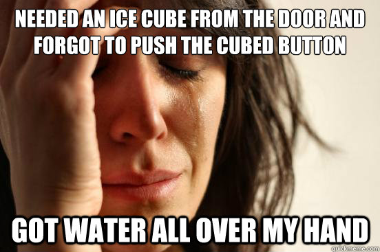 Needed an ice cube from the door and forgot to push the Cubed button got water all over my hand  First World Problems