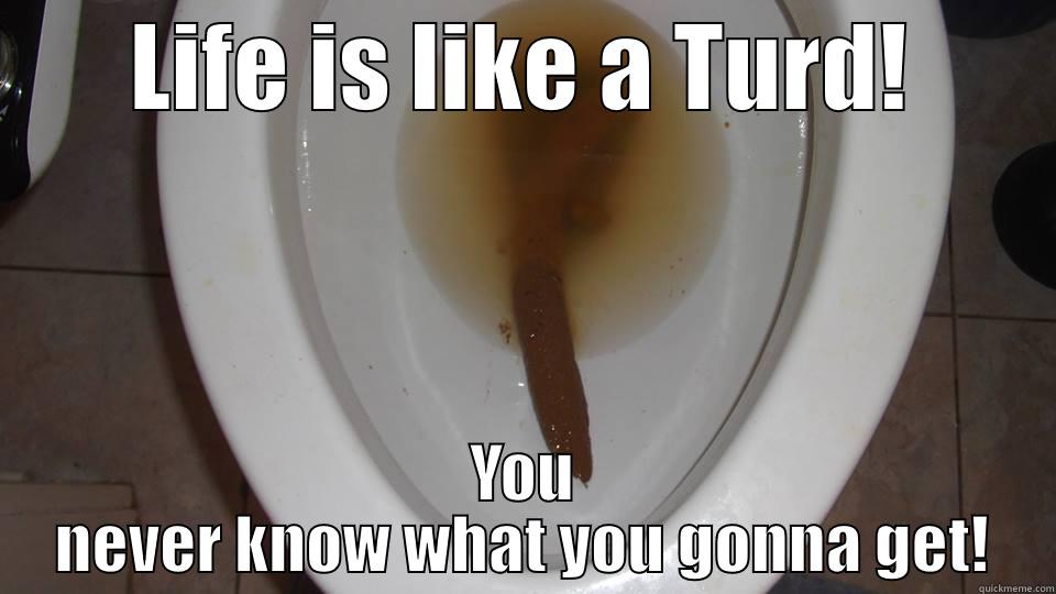 Biggest Turd Ever quickmeme