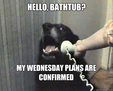 Hello, bathtub? My wednesday plans are confirmed  yes this is dog