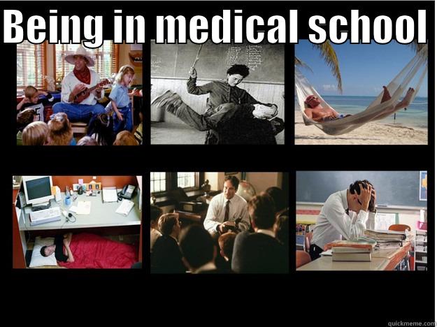 BEING IN MEDICAL SCHOOL   What People Think I Do