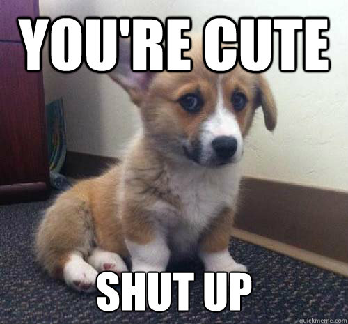 you're cute shut up - you're cute shut up  Miss You Corgi