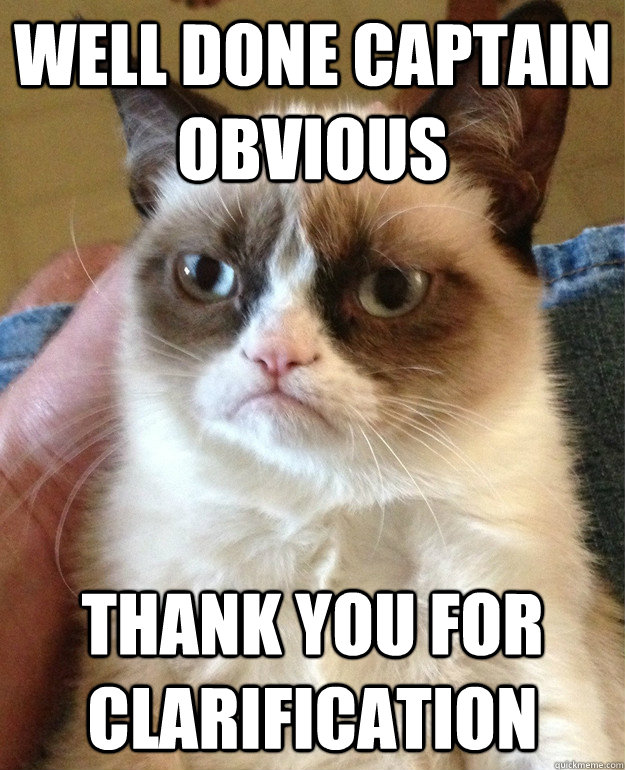 well done captain obvious thank you for clarification - well done captain obvious thank you for clarification  Grumpy Cat