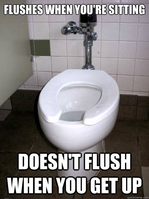 Flushes when you're sitting Doesn't flush when you get up  