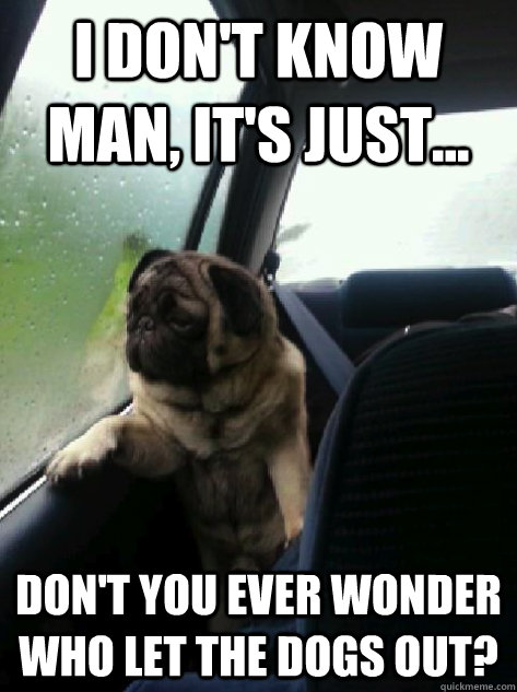 I don't know man, It's just... Don't you ever wonder who let the dogs out? - I don't know man, It's just... Don't you ever wonder who let the dogs out?  Introspective Pug