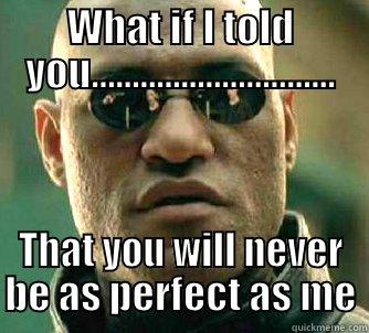 WHAT IF I TOLD YOU.............................. THAT YOU WILL NEVER BE AS PERFECT AS ME Matrix Morpheus