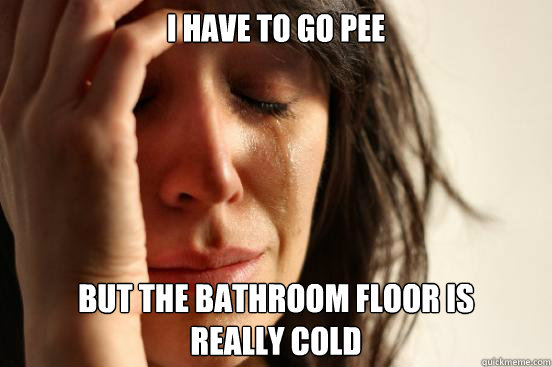 I have to go pee but the bathroom floor is 
really cold  First World Problems