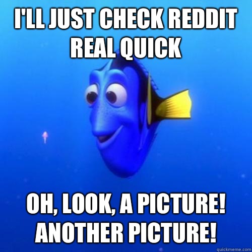 I'll just check reddit real quick Oh, look, a picture! Another picture!  dory