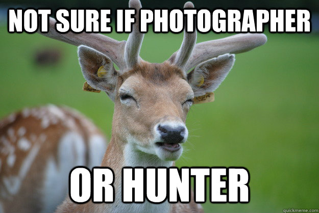 Not Sure if Photographer Or Hunter  