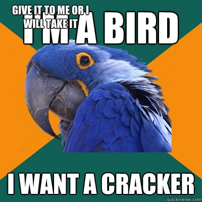 I'm a Bird I want a cracker give it to me or i will take it  Paranoid Parrot