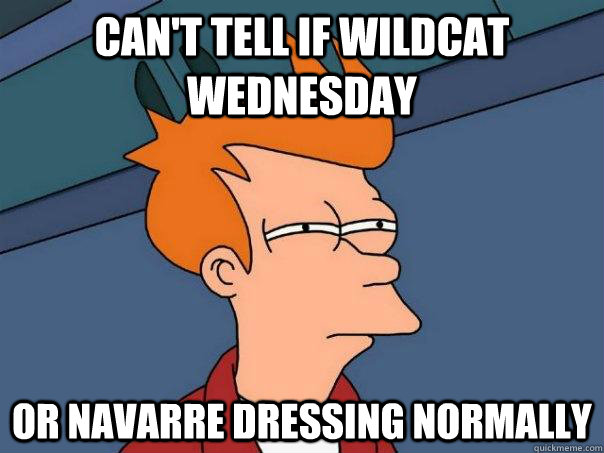 Can't tell if wildcat wednesday or navarre dressing normally  Futurama Fry