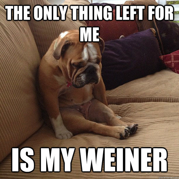 the only thing left for me is my weiner - the only thing left for me is my weiner  depressed dog