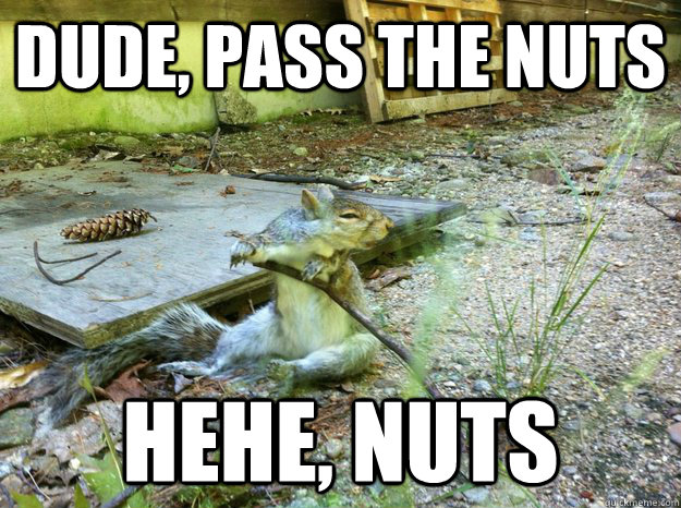 Dude, pass the nuts hehe, nuts  