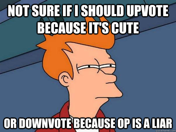 Not sure if I should upvote because it's cute Or downvote because OP is a liar - Not sure if I should upvote because it's cute Or downvote because OP is a liar  Futurama Fry
