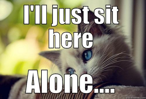 I'LL JUST SIT HERE ALONE.... First World Problems Cat