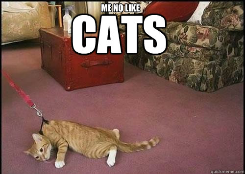 CATS  ME NO LIKE   Cats are not dogs