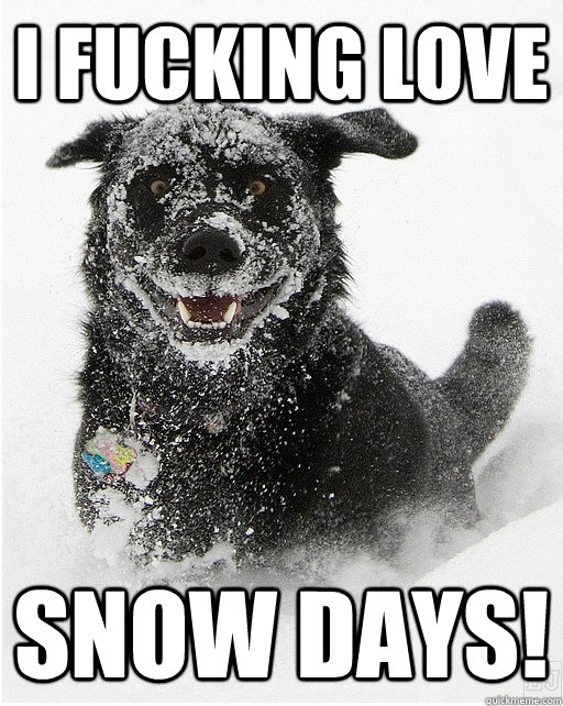 I FUCKING LOVE SNOW DAYS!  Cocaine dog