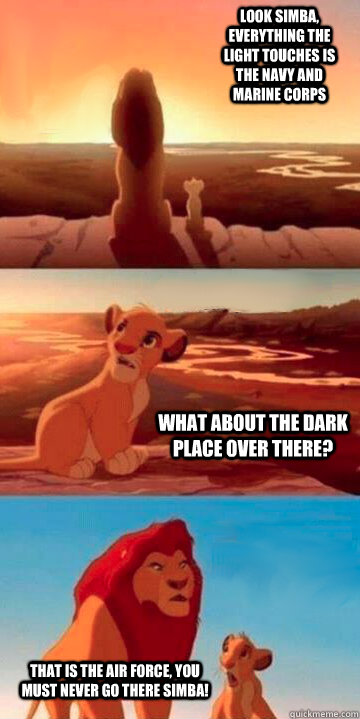 Look simba, everything the light touches is the Navy and Marine Corps  What about the dark place over there? That is the Air Force, you must never go there simba!  Lion King Potsdam