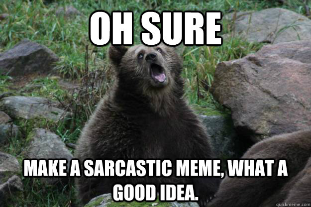 Oh sure make a sarcastic meme, what a good idea. - Oh sure make a sarcastic meme, what a good idea.  Sarcastic Bear