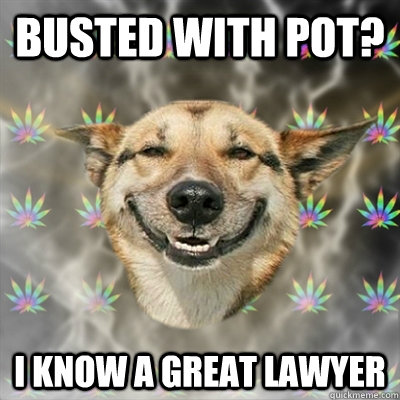 BUSTED WITH POT? I KNOW A GREAT LAWYER  Stoner Dog