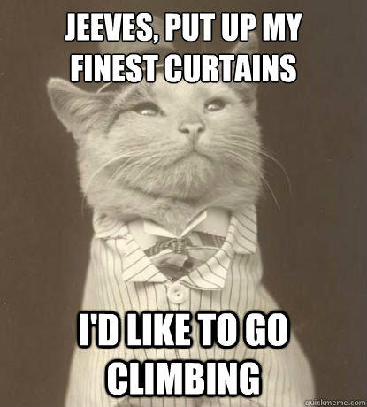 Jeeves, put up my 
finest curtains I'd like to go climbing  Aristocat