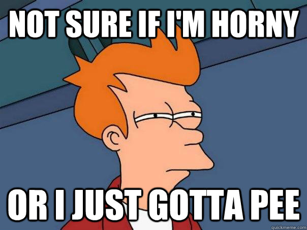 Not sure if I'm horny Or I just gotta pee  Futurama Fry