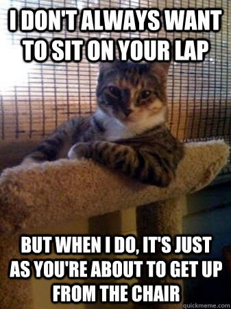 I don't always want to sit on your lap but when I do, it's just as you're about to get up from the chair  The Most Interesting Cat in the World