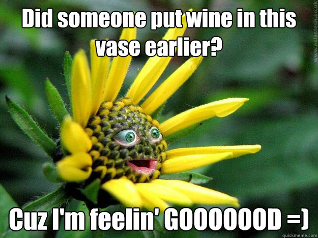 Did someone put wine in this vase earlier? Cuz I'm feelin' GOOOOOOD =) - Did someone put wine in this vase earlier? Cuz I'm feelin' GOOOOOOD =)  Drunk flower