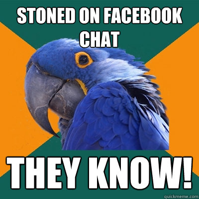 Stoned on facebook chat they know!  Paranoid Parrot