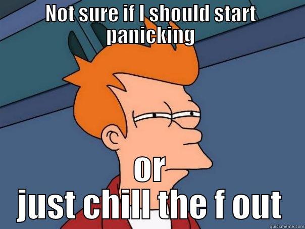 NOT SURE IF I SHOULD START PANICKING OR JUST CHILL THE F OUT Futurama Fry
