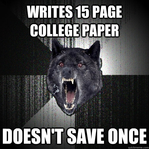 Writes 15 page college paper Doesn't Save Once  Insanity Wolf